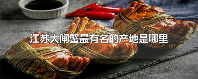 江苏大闸蟹最有名的产地是哪里