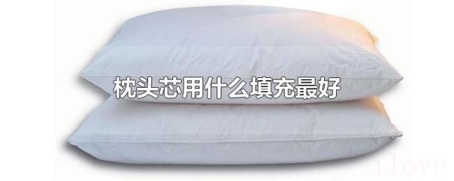 枕头芯用什么填充最好 枕头芯用什么填充最好