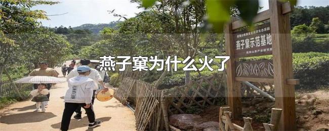 燕子窠为什么火了