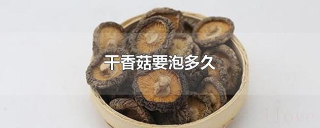 干香菇要泡多久