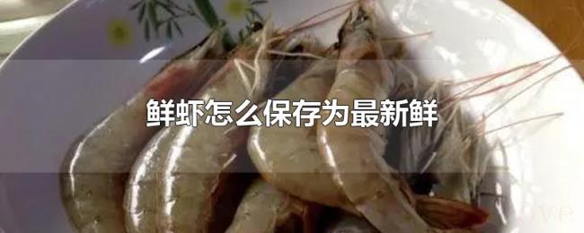 鲜虾怎么保存为最新鲜