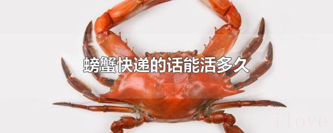 螃蟹快递的话能活多久