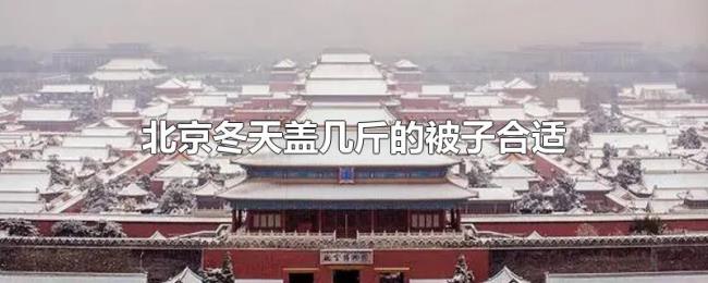北京冬天盖几斤的被子合适