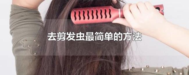 去剪发虫最简单的方法 去剪发虫最简单的方法