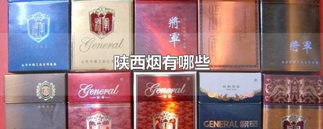 陕西烟有哪些