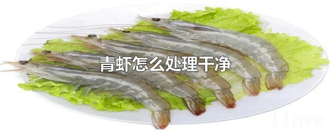 青虾怎么处理干净