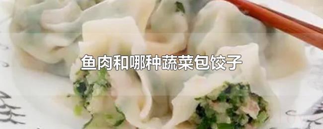 鱼肉和哪种蔬菜包饺子 鱼肉和哪种蔬菜包饺子