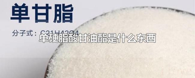 单硬脂酸甘油酯是什么东西 单硬脂酸甘油酯是什么东西