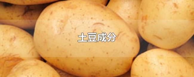 土豆成分 土豆成分