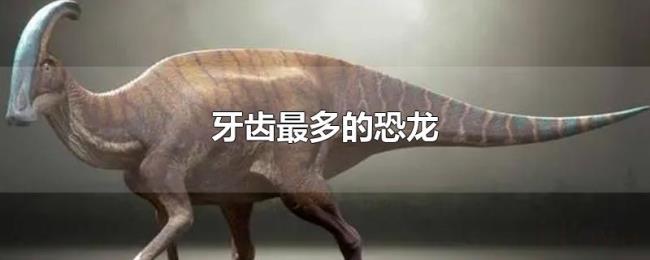牙齿最多的恐龙 牙齿最多的恐龙