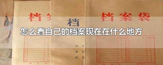 怎么看自己的档案现在在什么地方 怎么看自己的档案现在在什么地方