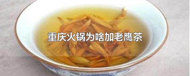 重庆火锅为啥加老鹰茶 重庆火锅为啥加老鹰茶
