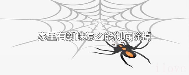 家里有蜘蛛怎么能彻底除掉 家里有蜘蛛怎么能彻底除掉