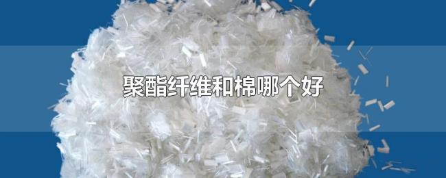 聚酯纤维和棉哪个好 聚酯纤维和棉哪个好