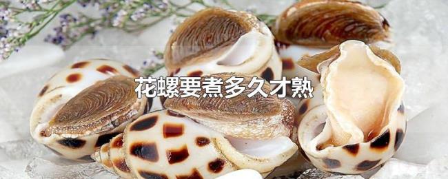 花螺要煮多久才熟 花螺要煮多久才熟