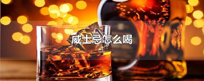 威士忌怎么喝