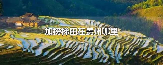 加榜梯田在贵州哪里 加榜梯田在贵州哪里