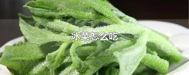 冰菜怎么吃 冰菜怎么吃