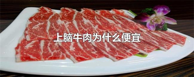 上脑牛肉为什么便宜