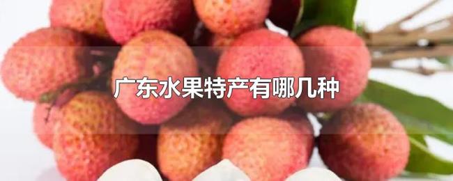广东水果特产有哪几种