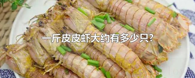 一斤皮皮虾大约有多少只?