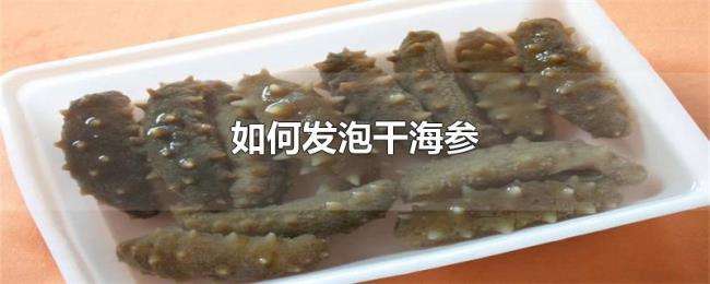 如何发泡干海参 如何发泡干海参