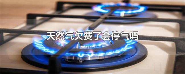 天然气欠费了会停气吗 天然气欠费了会停气吗