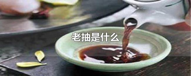老抽是什么 老抽是什么