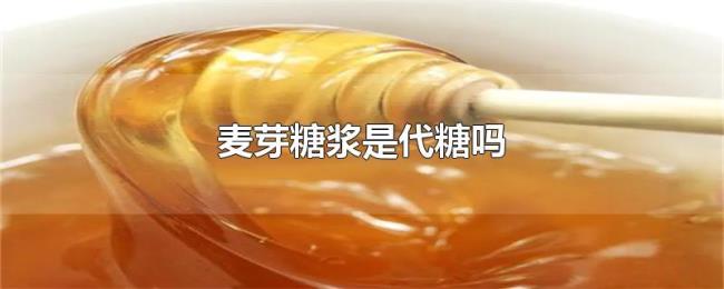 麦芽糖浆是代糖吗
