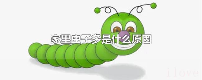 家里虫子多是什么原因