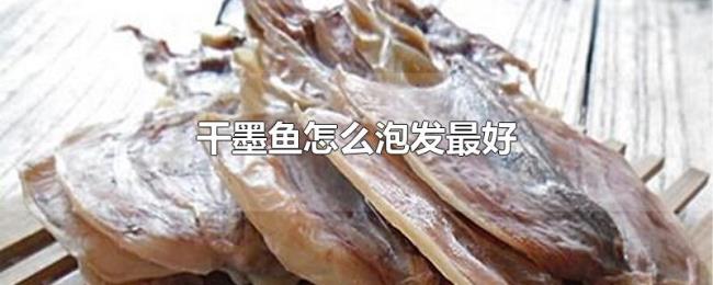 干墨鱼怎么泡发最好