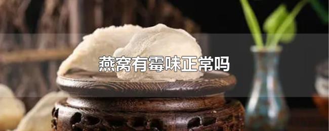 燕窝有霉味正常吗