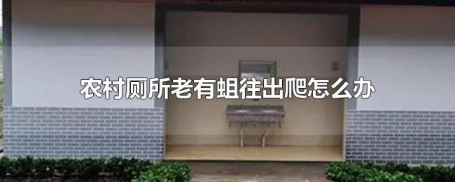 农村厕所老有蛆往出爬怎么办 农村厕所老有蛆往出爬怎么办