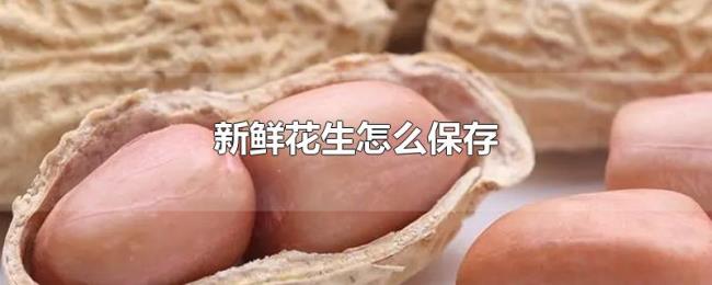 新鲜花生怎么保存