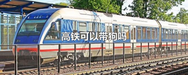 高铁可以带狗吗 高铁可以带狗吗