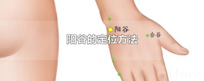 阳谷的定位方法