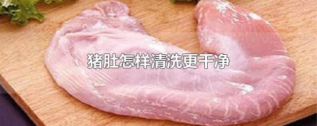 猪肚怎样清洗更干净 猪肚怎样清洗更干净