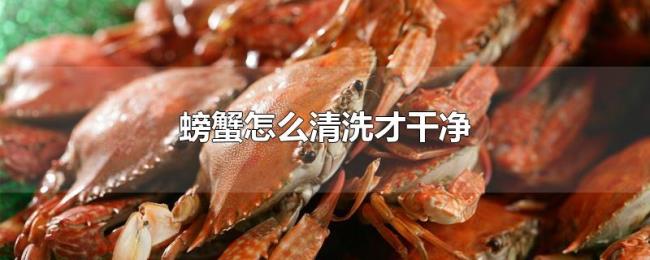 螃蟹怎么清洗才干净