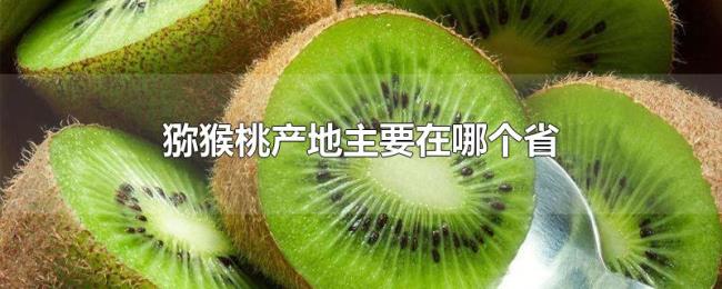 猕猴桃产地主要在哪个省