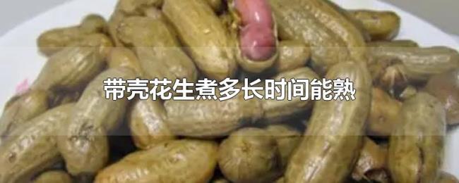 带壳花生煮多长时间能熟