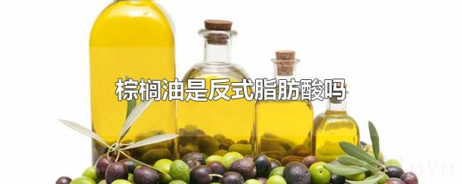 棕榈油是反式脂肪酸吗