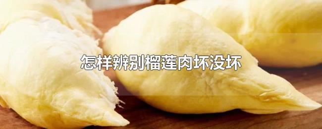怎样辨别榴莲肉坏没坏