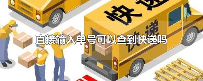 直接输入单号可以查到快递吗