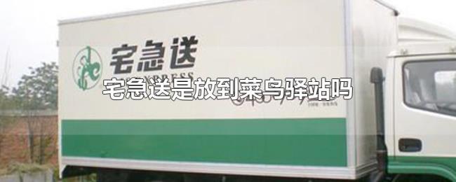 宅急送是放到菜鸟驿站吗 宅急送是放到菜鸟驿站吗