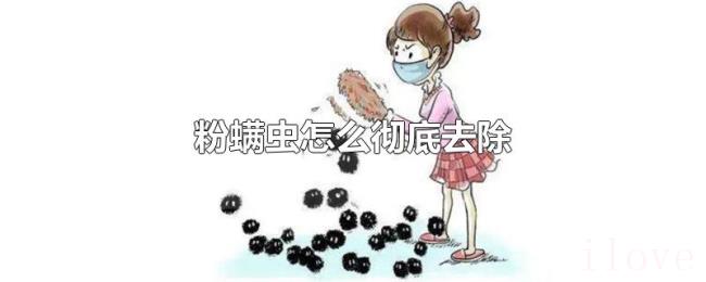 粉螨虫怎么彻底去除 粉螨虫怎么彻底去除