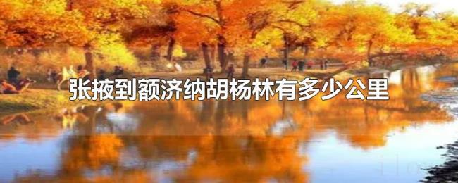 张掖到额济纳胡杨林有多少公里