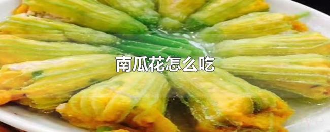 南瓜花怎么吃 南瓜花怎么吃