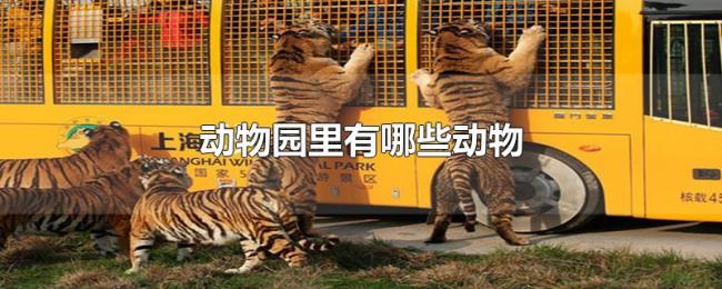 动物园里有哪些动物 动物园里有哪些动物