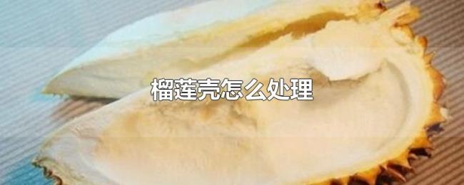 榴莲壳怎么处理 榴莲壳怎么处理