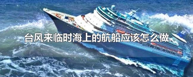 台风来临时海上的航船应该怎么做